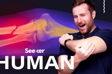 How Does Your Body Process Pain? How Does Your Body Process Pain?