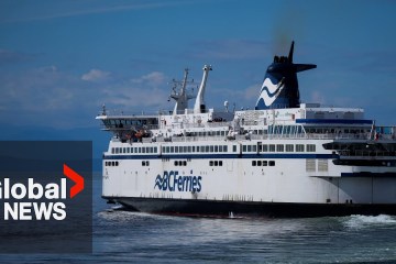 .2B ferry deal with China should be cancelled over canola tariffs, BC Opposition demands .2B ferry deal with China should be cancelled over canola tariffs, BC Opposition demands