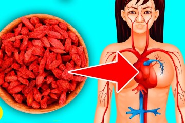 Why You Should Be Eating Goji Berries Why You Should Be Eating Goji Berries