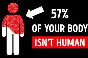 You Share Over Half Your Body With Something Unhuman You Share Over Half Your Body With Something Unhuman