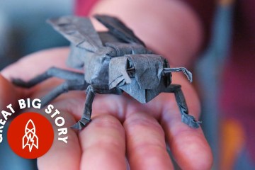 See a NASA Physicist’s Incredible Origami See a NASA Physicist’s Incredible Origami