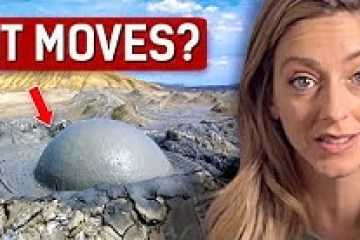 World’s Only Moving Mud Puddle World’s Only Moving Mud Puddle