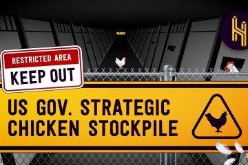 Why the US Government Has a Secret Chicken Stockpile Why the US Government Has a Secret Chicken Stockpile
