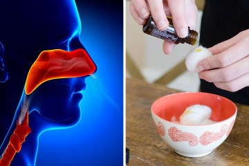 Create your own Nasal Inhaler to Beat Congestion (Natural Decongestant) Create your own Nasal Inhaler to Beat Congestion (Natural Decongestant)