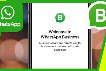 How to use WhatsApp for Business How to use WhatsApp for Business