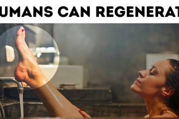 99 Quick Human Body Facts you wish you’d known before 99 Quick Human Body Facts you wish you’d known before