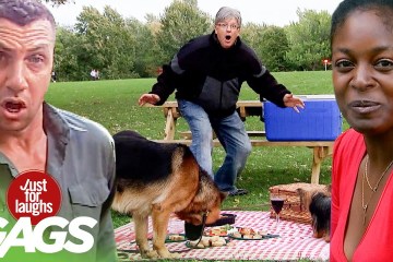 Best of Pranks at The Park Vol. 6 Best of Pranks at The Park Vol. 6