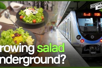 The ‘Future of Farming’, Metro Smart Farm The ‘Future of Farming’, Metro Smart Farm