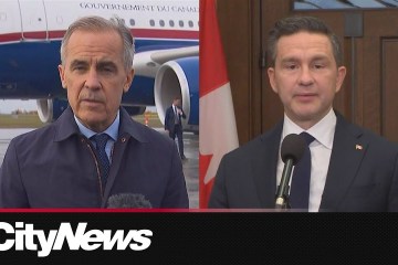 Carney the choice over Poilievre on who best addresses needs of Toronto, GTA: poll Carney the choice over Poilievre on who best addresses needs of Toronto, GTA: poll