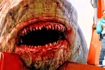 15 BIGGEST Sharks in History 15 BIGGEST Sharks in History