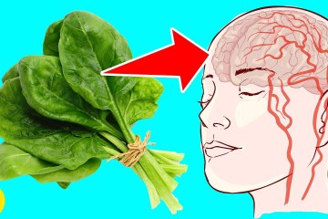 15 Things That Will Happen To Your Body If You Eat Spinach Every Day 15 Things That Will Happen To Your Body If You Eat Spinach Every Day