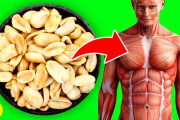 Eat Peanuts Every Day and see how your Body Changes Eat Peanuts Every Day and see how your Body Changes