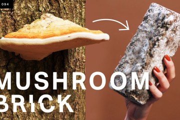 This Mushroom Brick could replace Concrete This Mushroom Brick could replace Concrete