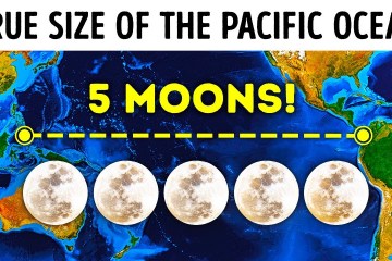 No Wonder Planes don’t Fly over the Pacific, It’s Insanely Huge No Wonder Planes don’t Fly over the Pacific, It’s Insanely Huge