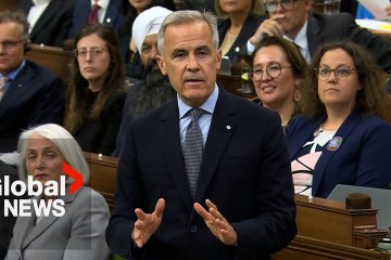 Carney supports Anandasangaree, says gun buyback program is “efficient way” for firearm returns Carney supports Anandasangaree, says gun buyback program is “efficient way” for firearm returns