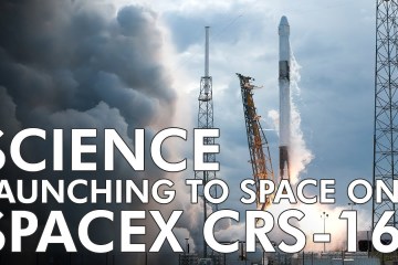 Highlights of Science Launching on SpaceX CRS-16 Highlights of Science Launching on SpaceX CRS-16