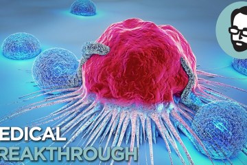 How the COVID-19 Vaccine could Lead to a Cure for Cancer How the COVID-19 Vaccine could Lead to a Cure for Cancer