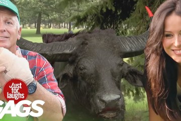 Best of Pranks at the Park Best of Pranks at the Park