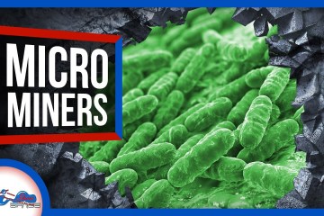 Using Microbes to Mine Mars : The Future of Biomining Using Microbes to Mine Mars : The Future of Biomining