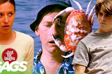 Best of Animal Pranks Vol. 7 Best of Animal Pranks Vol. 7