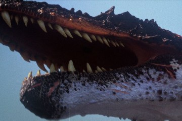 A Compilation of 8 of the Best Dinosaur Movies of all Time A Compilation of 8 of the Best Dinosaur Movies of all Time