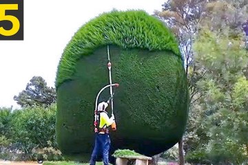 15 Amazing Hedges and Landscaping Work 15 Amazing Hedges and Landscaping Work