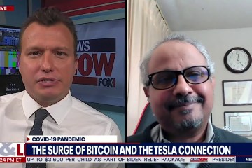 What Does the Future Hold for Digital Currencies? What Does the Future Hold for Digital Currencies?