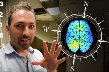 Can Humans Sense Magnetic Fields? Can Humans Sense Magnetic Fields?