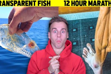 Amazing things you’ve Never Seen Before Amazing things you’ve Never Seen Before