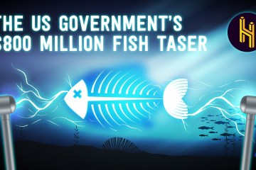 The US Government’s 0 Million Fish Taser The US Government’s 0 Million Fish Taser