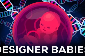 hGenetic Engineering Will Change Everything Forever – CRISPR hGenetic Engineering Will Change Everything Forever – CRISPR