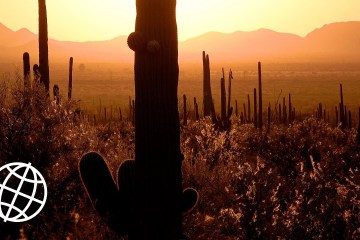 Saguaro National Park, Arizona, USA in 4K Ultra HD Saguaro National Park, Arizona, USA in 4K Ultra HD