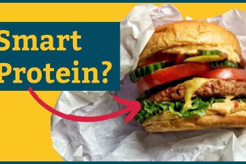 Are Smart Proteins the Future of Food? Are Smart Proteins the Future of Food?