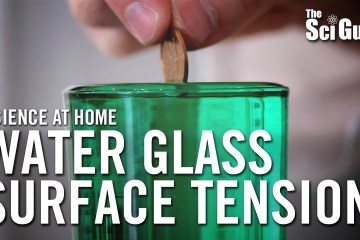 7 #Science Tricks with Surface Tension 7 #Science Tricks with Surface Tension