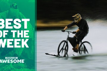 Coolest Wasp Cosplay, Circus Stunts, High Dives, Water Skis & More! | Best of the Week Coolest Wasp Cosplay, Circus Stunts, High Dives, Water Skis & More! | Best of the Week