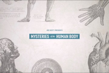 Nebula Original Series Mysteries Of The Human Body – Teaser Nebula Original Series Mysteries Of The Human Body – Teaser