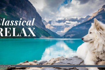 Beethoven – Classical Music for Relaxation Beethoven – Classical Music for Relaxation