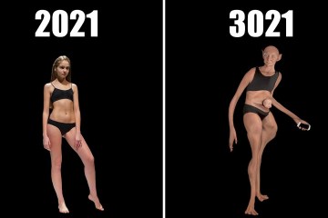 The Truth Behind The “Ideal” Human Body In Future The Truth Behind The “Ideal” Human Body In Future