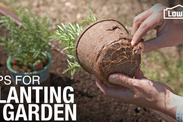 Tips and Tricks for How To Plant a Garden | Gardening Basics Tips and Tricks for How To Plant a Garden | Gardening Basics