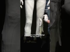 中国科学家人工智能的一小步,人类的一大步