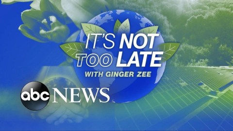 It’s Not Too Late: California port pollution plaguing local neighborhoods l ABCNL Prime It’s Not Too Late: California port pollution plaguing local neighborhoods l ABCNL Prime