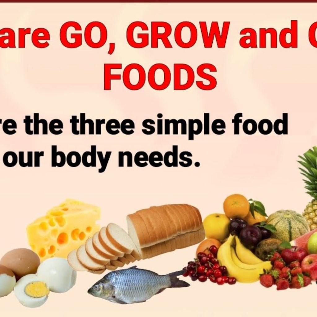 Go Grow and Glow Foods Fueling Your Body for Health and Vitality Go Grow and Glow Foods Fueling Your Body for Health and Vitality