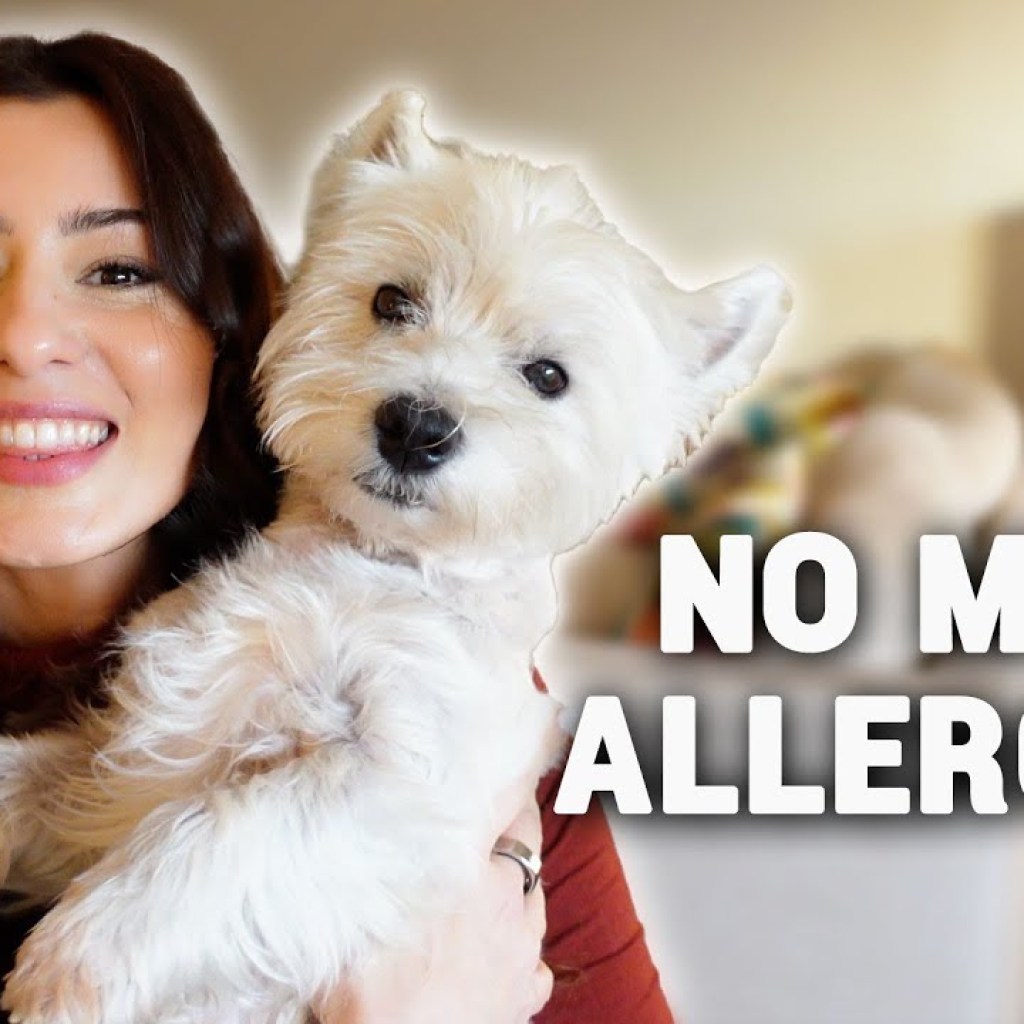 Zeewee Dog Food Nourishing Your Beloved Companions Journey Zeewee Dog Food Nourishing Your Beloved Companions Journey