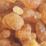 Gum Acacia Unveiled: Health Benefits, Applications, and Sustainable Harvesting Gum Acacia Unveiled: Health Benefits, Applications, and Sustainable Harvesting