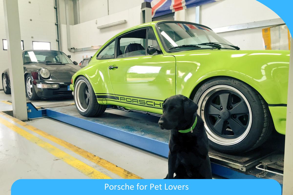 Porsche for Pet Lovers: Essential Accessories for Traveling with Your Furry Friend Porsche for Pet Lovers: Essential Accessories for Traveling with Your Furry Friend