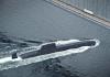 Two Baltic Sea communications cables have been knocked offline