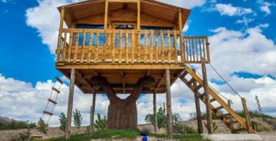 Casa de Arbol/ Treehouse – Casa en Potrerillos Casa de Arbol/ Treehouse – Casa en Potrerillos