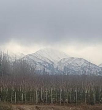 Tomero Apartamento – Alojamiento en Tupungato Tomero Apartamento – Alojamiento en Tupungato