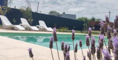 casa quinta caballito blanco – Quinta en Chascomús casa quinta caballito blanco – Quinta en Chascomús