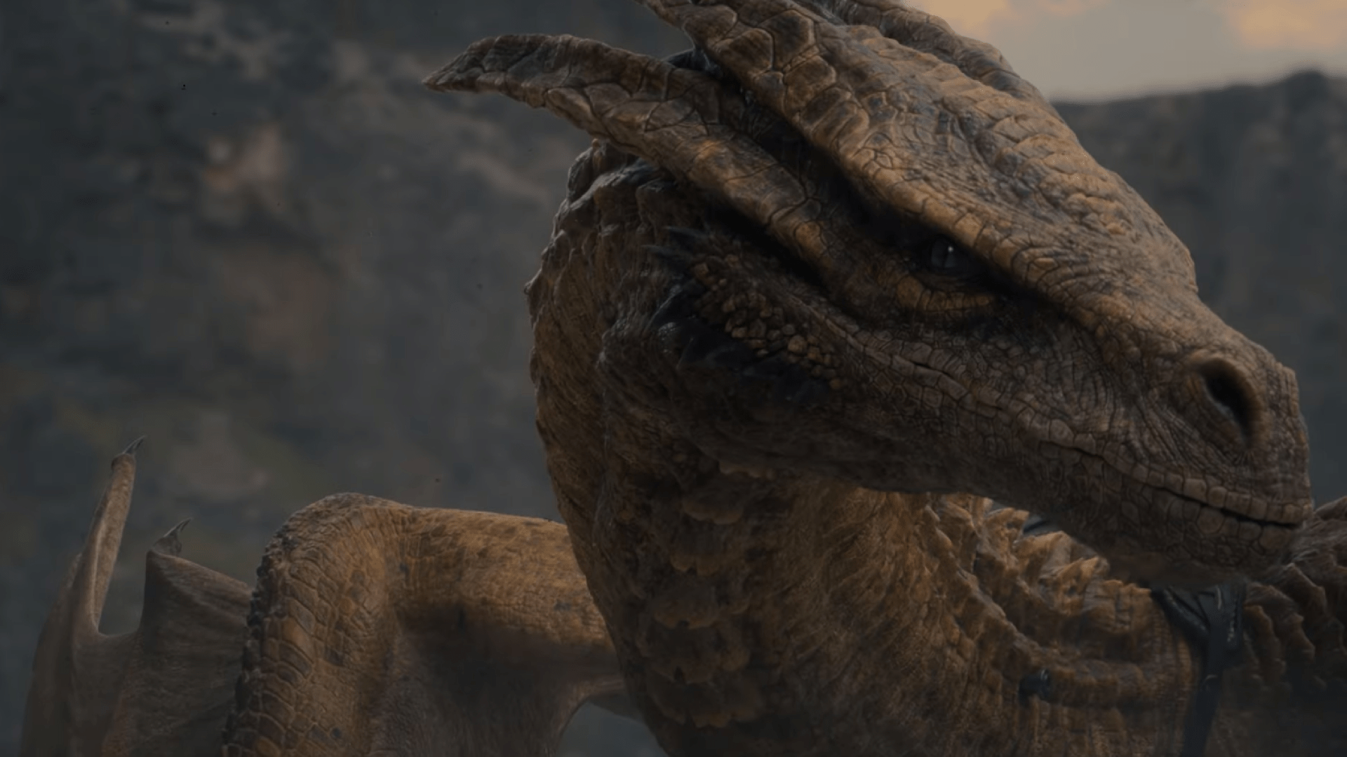 House of the Dragon Adds Three New Actors for Season 3: Tom Cullen, Joplin Sibtain, and Barry Sloane! House of the Dragon Adds Three New Actors for Season 3: Tom Cullen, Joplin Sibtain, and Barry Sloane!